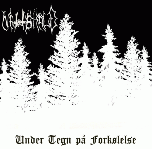 Nattskald : Under Tegn på Forkølelse